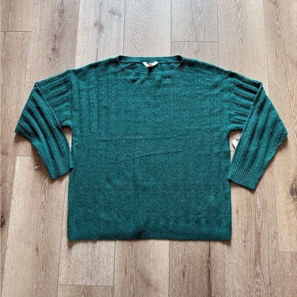Terra & Sky Emerald Green Women's Sweater Size 1X NWT - Picture 11 of 12